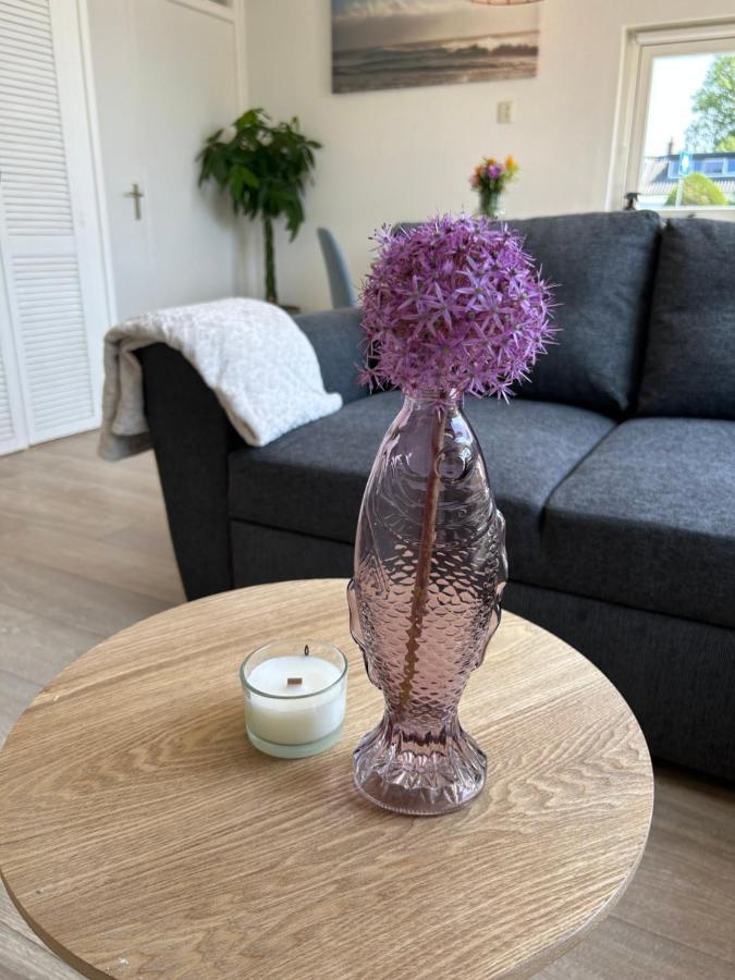 Amsterdam Beach Apartment 17, Incl Parking + Garden Zandvoort Zewnętrze zdjęcie