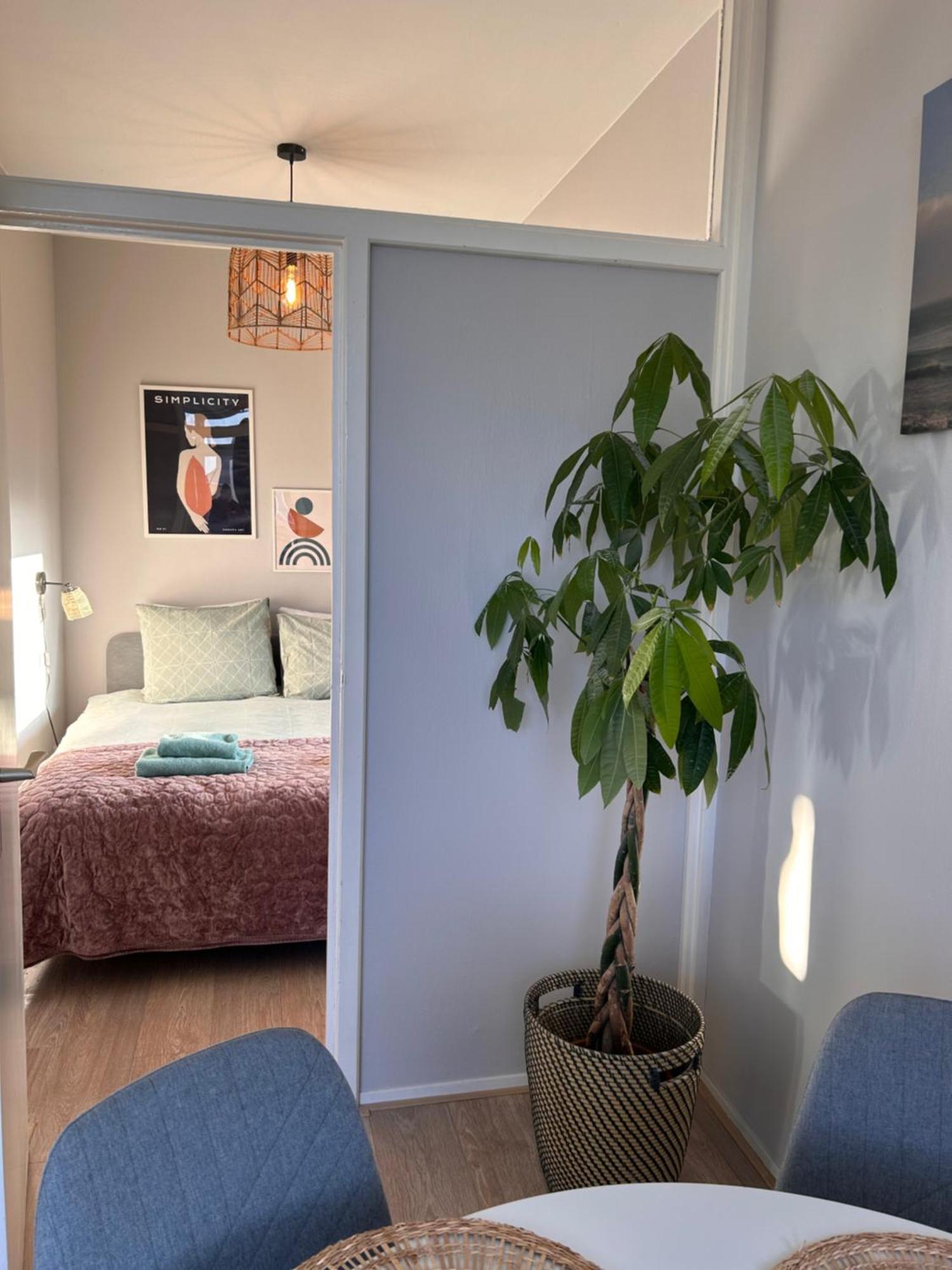 Amsterdam Beach Apartment 17, Incl Parking + Garden Zandvoort Zewnętrze zdjęcie